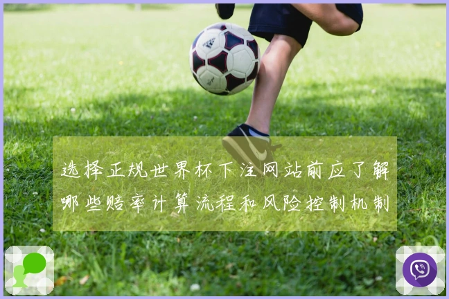 选择正规世界杯下注网站前应了解哪些赔率计算流程和风险控制机制