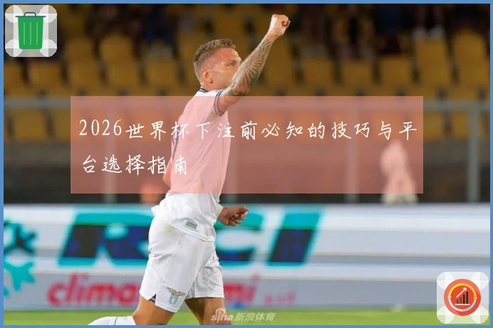 2026世界杯下注前必知的技巧与平台选择指南