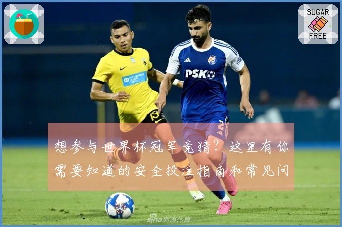 想参与世界杯冠军竞猜?这里有你需要知道的安全投注指南和常见问题解答